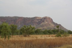 IMG_6005
