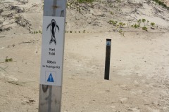 IMG_6020