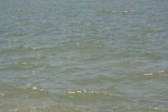 IMG_6044