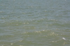 IMG_6045