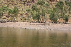 IMG_6075