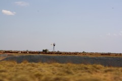 IMG_6097