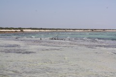 IMG_6172