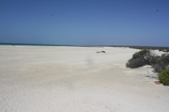 IMG_6175