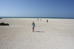 IMG_6176