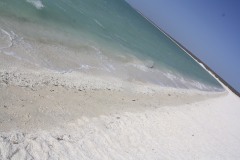 IMG_6180