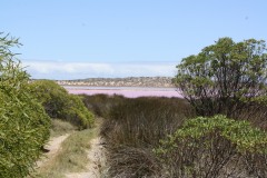 IMG_6259