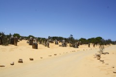 IMG_6280