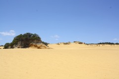 IMG_6288