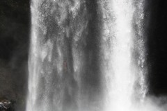 IMG_6884