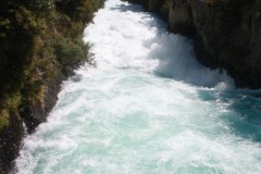 IMG_7341