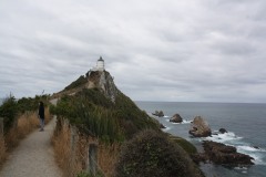IMG_7487