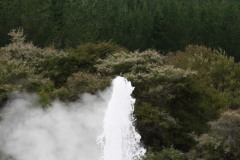 IMG_3898