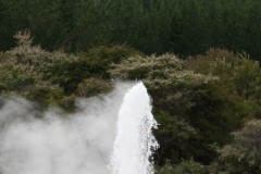 IMG_3899